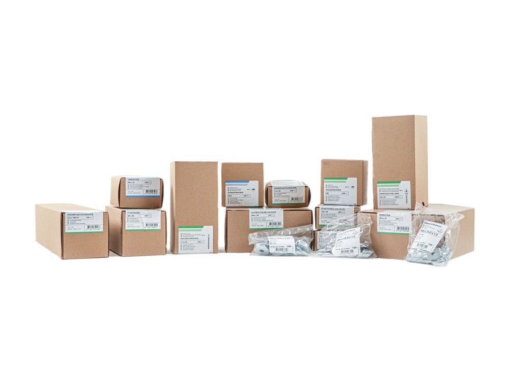 dakpanschroef rvs a2-4