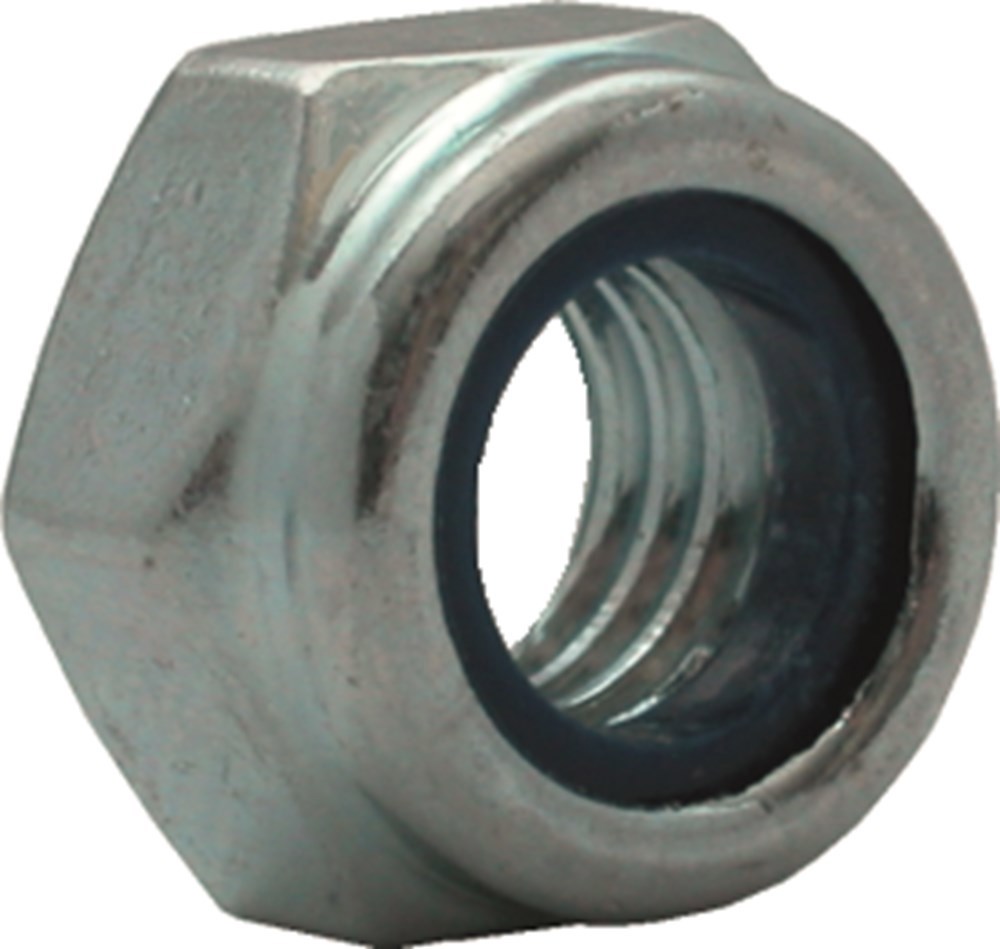 borgmoer niloc rvs a2 kelfort